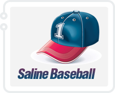 Saline Area Baseball